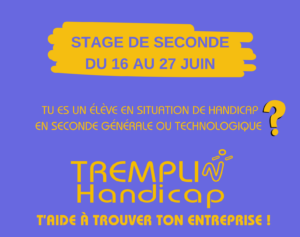 TREMPLIN Handicap t'aide à trouver ton stage de seconde